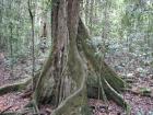 thumbs/IMG_0575.jpg