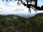 thumbs/IMG_0583.jpg
