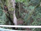 thumbs/IMG_0597.jpg