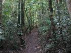 thumbs/IMG_0601.jpg