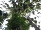 thumbs/IMG_0604.jpg