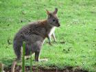 thumbs/IMG_0609.jpg
