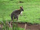 thumbs/IMG_0610.jpg
