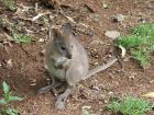 thumbs/IMG_0612.jpg
