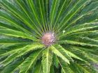 thumbs/IMG_0615.jpg