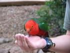 thumbs/IMG_0622.jpg