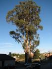 thumbs/IMG_3913.jpg