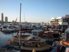 thumbs/IMG_0774.jpg