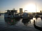 thumbs/IMG_0782.jpg