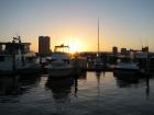 thumbs/IMG_0795.jpg