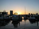 thumbs/IMG_0796.jpg