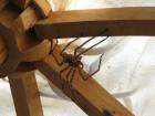 thumbs/IMG_0626.jpg