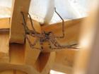 thumbs/IMG_0627.jpg