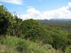 thumbs/IMG_0632.jpg