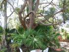 thumbs/IMG_0634.jpg