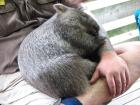 thumbs/IMG_3493.jpg