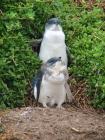 thumbs/IMG_3576.jpg