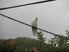 thumbs/IMG_3639.jpg
