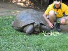 thumbs/IMG_0863.jpg