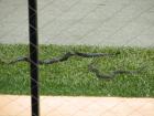 thumbs/IMG_0903.jpg