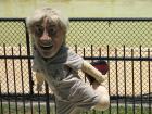 thumbs/IMG_0919.jpg