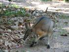 thumbs/IMG_0931.jpg