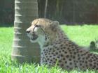 thumbs/IMG_0945.jpg