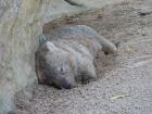 thumbs/IMG_0995.jpg