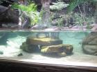thumbs/IMG_1016.jpg