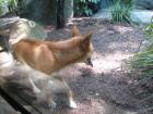 thumbs/IMG_1027.jpg