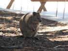 thumbs/IMG_3085.jpg