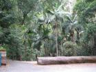 thumbs/IMG_0358.jpg