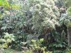 thumbs/IMG_0360.jpg