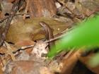 thumbs/IMG_0362.jpg