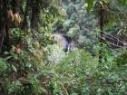 thumbs/IMG_0363.jpg