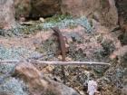 thumbs/IMG_0367.jpg
