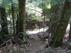 thumbs/IMG_0373.jpg