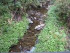 thumbs/IMG_0375.jpg