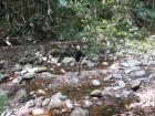 thumbs/IMG_0379.jpg