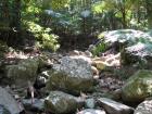 thumbs/IMG_0389.jpg