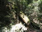 thumbs/IMG_0393.jpg
