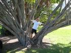 thumbs/IMG_1629.jpg