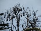 thumbs/IMG_1647.jpg