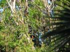 thumbs/IMG_1648.jpg