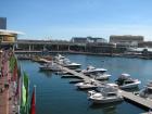 thumbs/IMG_1703.jpg