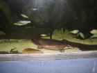 thumbs/IMG_1903.jpg