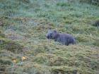 thumbs/IMG_4041.jpg