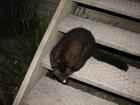 thumbs/IMG_4045.jpg