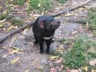 thumbs/IMG_4246.jpg