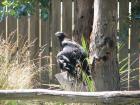 thumbs/IMG_4265.jpg